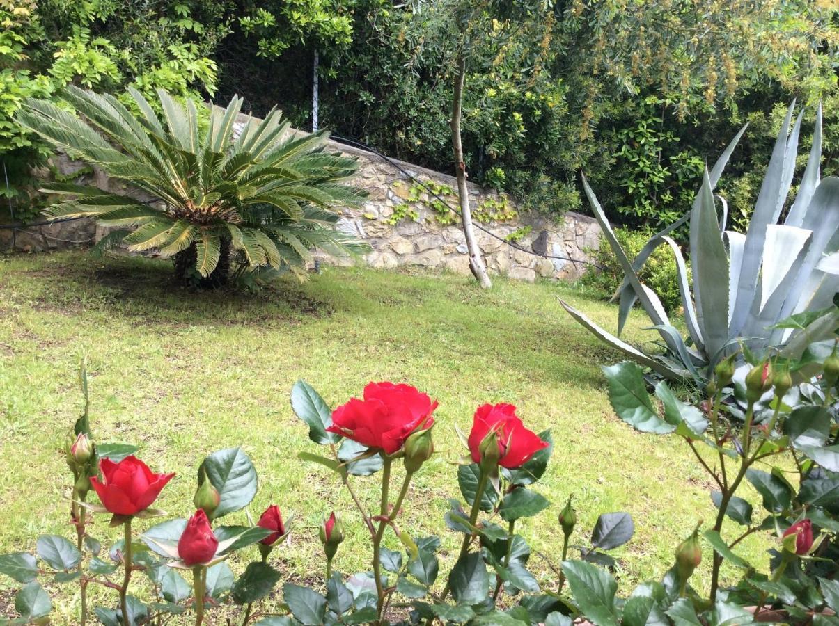 Villa Tra Mare E Bosco Nella Splendida Quercianella Exterior foto